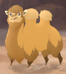 Bactrian Camel TLG