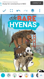 We Bare Hyenas Poster.png