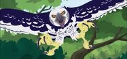 HarpyEagle (Wild Kratts)