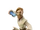 Obi-Wan Kenobi
