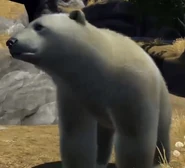 Polar-bear-zootycoon3.png (564 KB) Zoo Tycoon (2013)