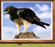 SimSafari Eagle