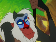 Apprentice Rafiki4