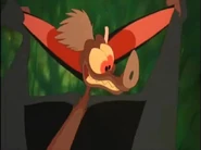 Batty-Koda-batty-koda-14039488-643-478.jpg (17 KB) Batty grad his hears