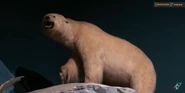 CMONH Polar Bear.png (966 KB)