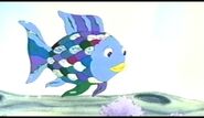 and Rainbow Fish as The Fiesta Trio