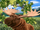 Ralph the Moose