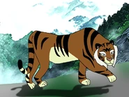 Rileys Adventures Amur Tiger.jpg (141 KB)