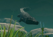 Saltwater-crocodile-planet-zoo