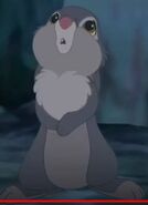 Thumper was Sad