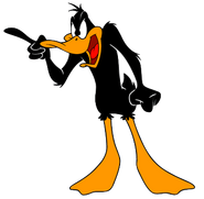 Daffy-duck