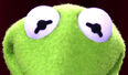 Kermit-Eyes