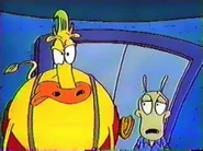 Rocko-06.jpg (15 KB)