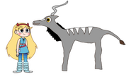 Star meets Lesser Kudu
