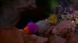 The Fraggles fall asleep to Sail Away song