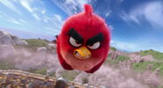 Angry-birds-disneyscreencaps.com-8185