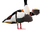 Samurai Common Shelduck