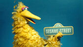 BigBird69SSsign