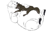Design (8) copy 13.png
