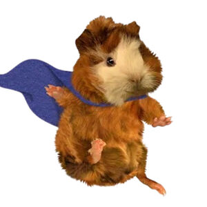 A Wonder Pets Musical Summer Movie Gallery The Parody Wiki Fandom