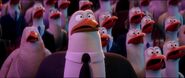 Las cigueñas son los pelícanos