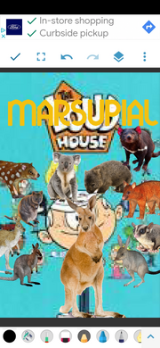 TMRSPLH Poster.png