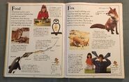 The Kingfisher First Animal Encyclopedia (29)