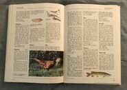 The Kingfisher Illustrated Encyclopedia of Animals (118)