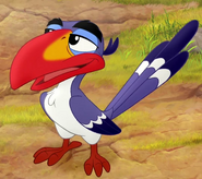 Zazu as Orville