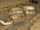 Spine-Bellied Sea Snake