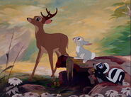 Bambi, Thumper & Flower