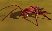 Cockroach IC