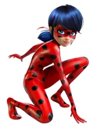 As Ladybug