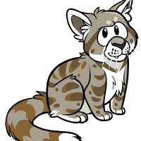 Andean Mountain Cat The Parody Wiki Fandom