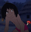 Mowgli tranquilized