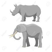 72714829-african-elephant-and-rhinoceros-cartoon-vector-illustration-