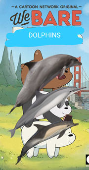 WBD Poster.png