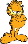 Garfield the Cat