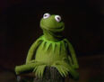 Kermit-the-Frog-1970