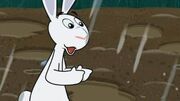 Rabbit (My Friend Rabbit)