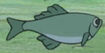 Ponyo Dot-Dash Grouper
