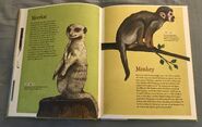 The Dictionary of Ordinary Extraordinary Animals (31)