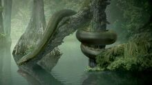 Titanoboa.jpg