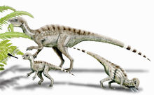 081023-heterodontosaurus-02.jpg