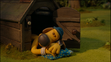 Bitzer sleeping in the doghouse