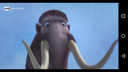 Woolly Mammoth