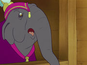 Elephant Matriatrch.jpg