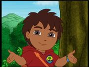 Go Diego - Spider Monkey