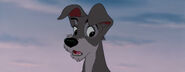 Lady-tramp-disneyscreencaps.com-5742