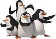 Madagascar-penguins